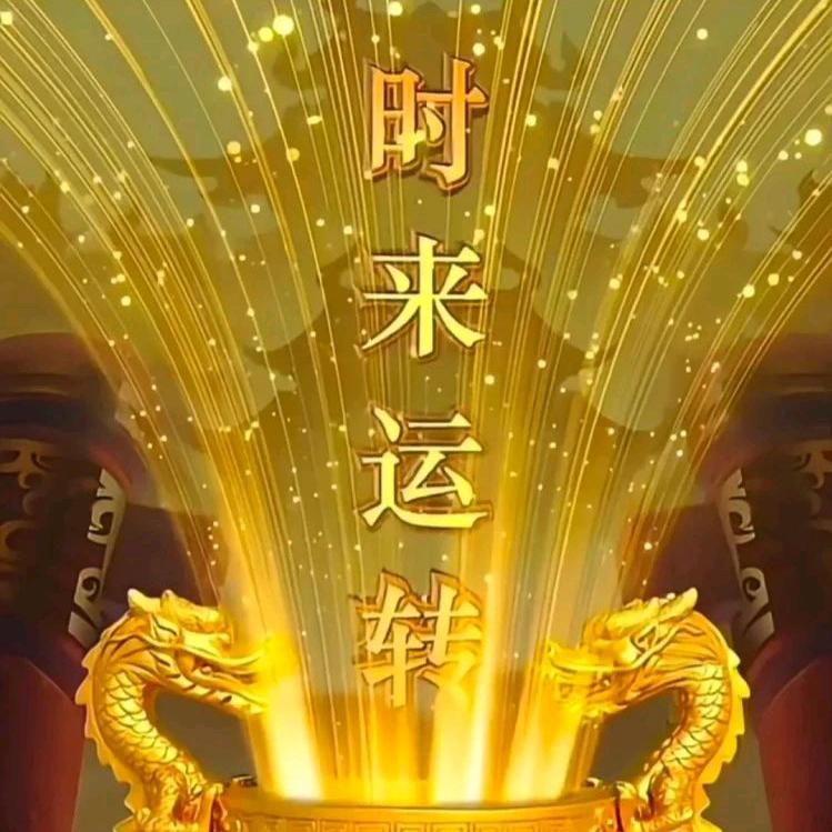 龙哥