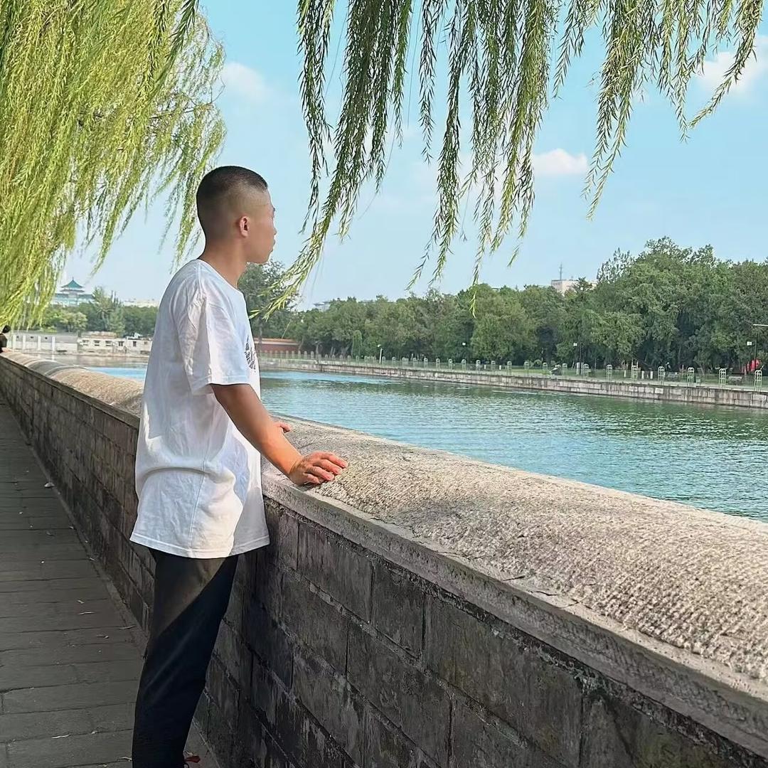 残翼の梦蝶