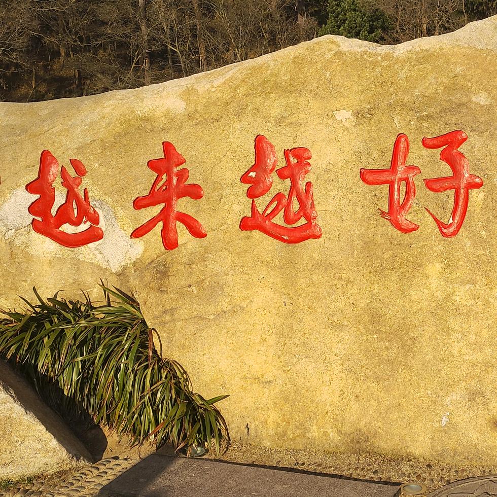 柠檬发饰