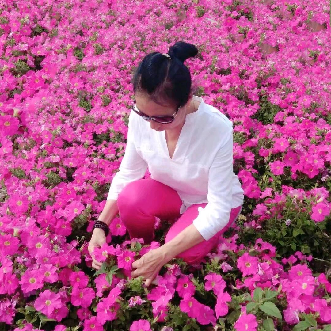 芹姐🍀🍀