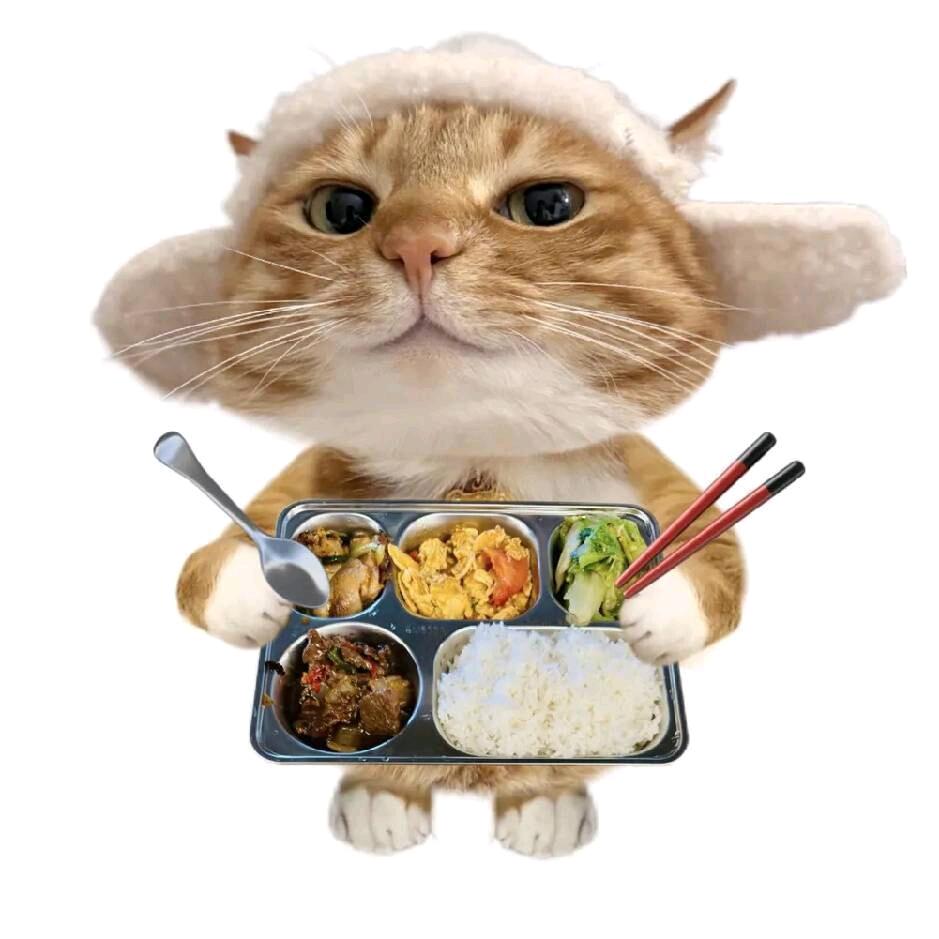 呵呵^_^