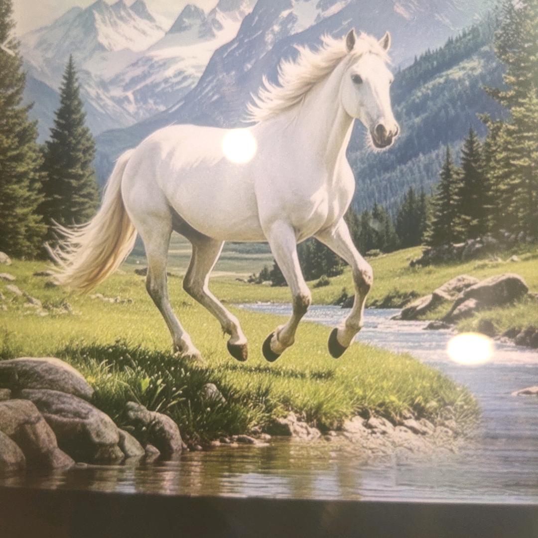 牛牛