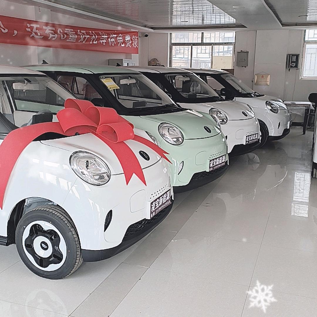 西吉凌宝金彭新能源汽车