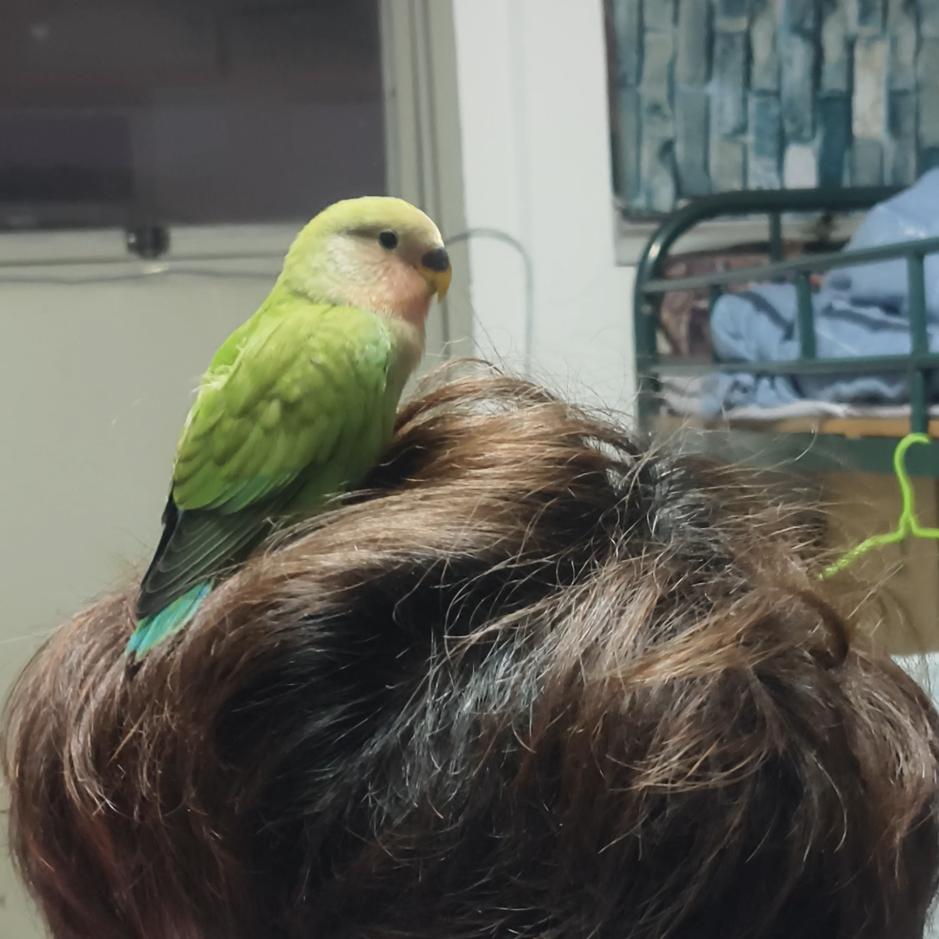 牢do