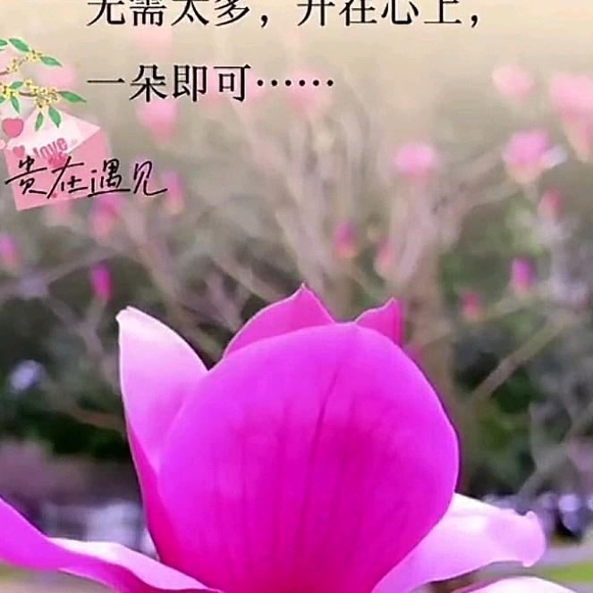 ꧁善待自己꧂