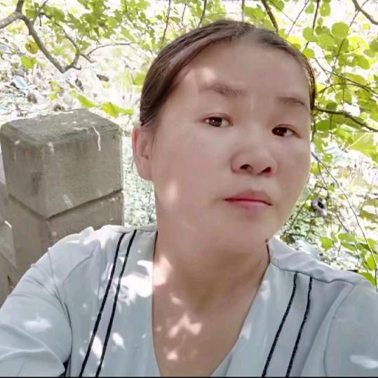 月历人生