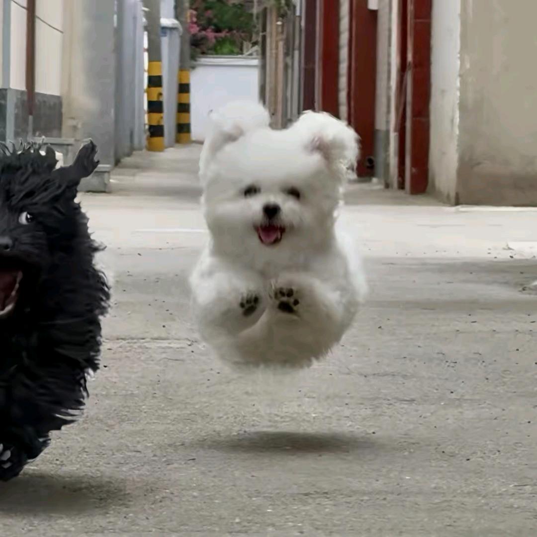 G.头像