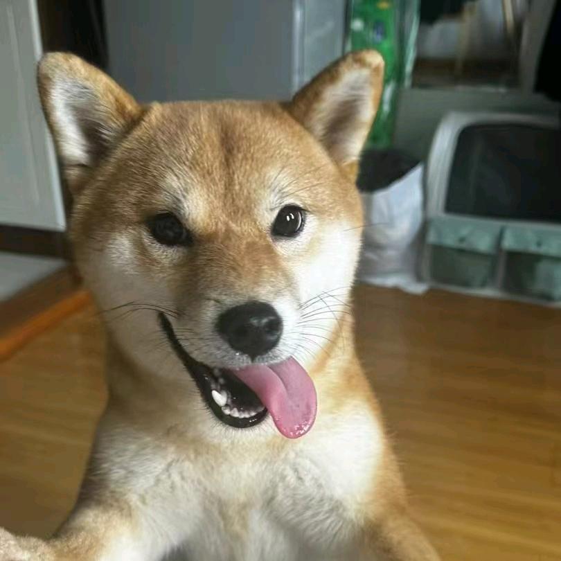 窝心脚