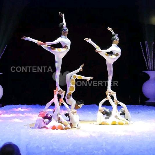 @，，狂欢大马戏