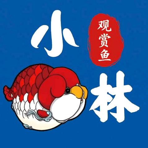 小林潘氏特色金鱼馆