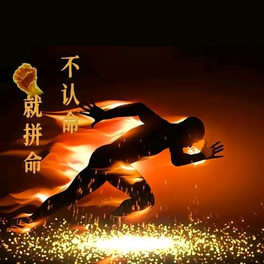 河南胜哥