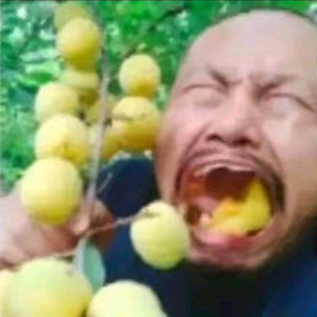 邪恶猪猪大王