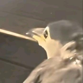 用户名92071113头像