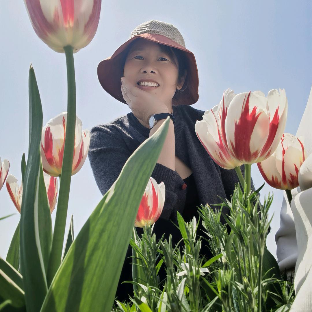 燕儿
