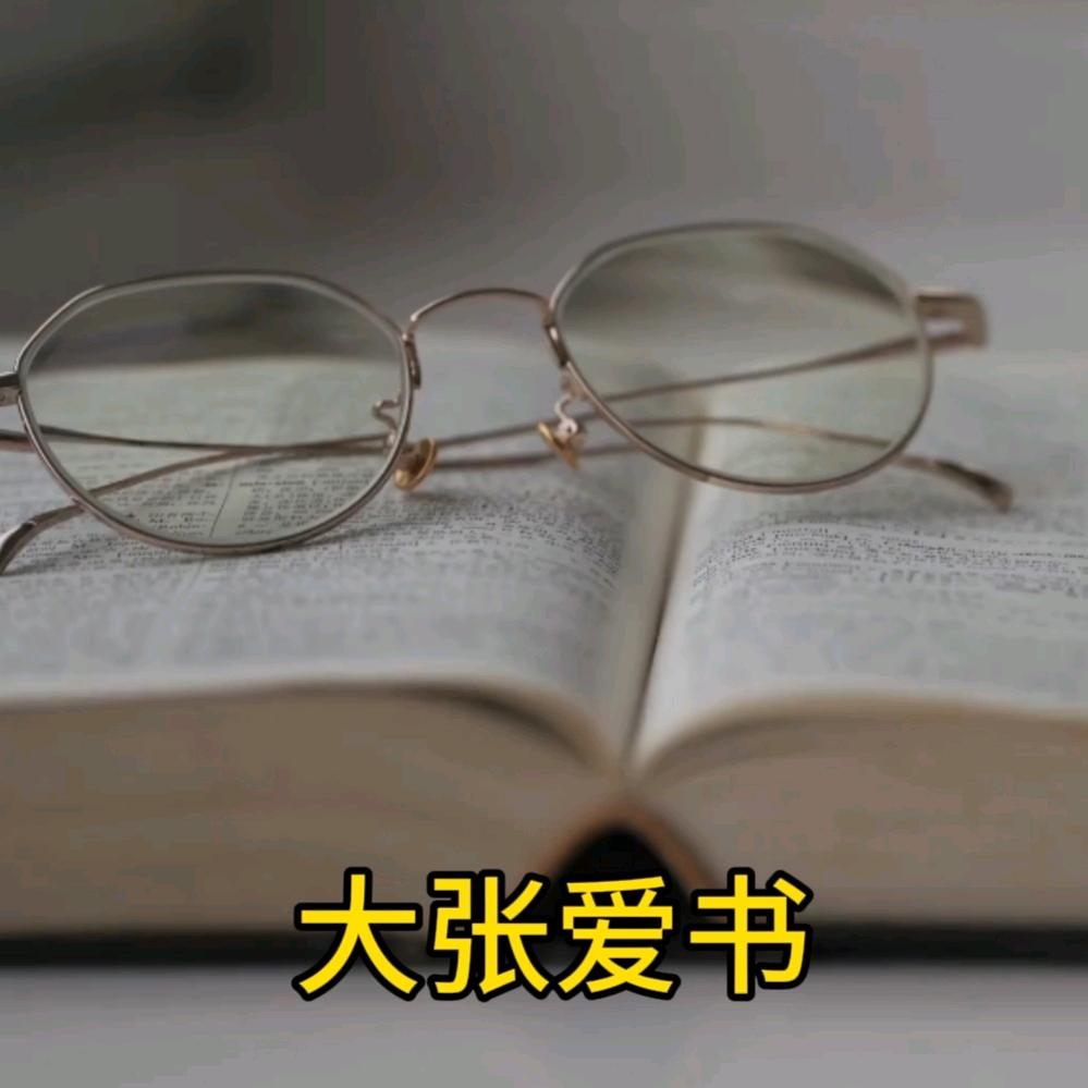 大张爱书