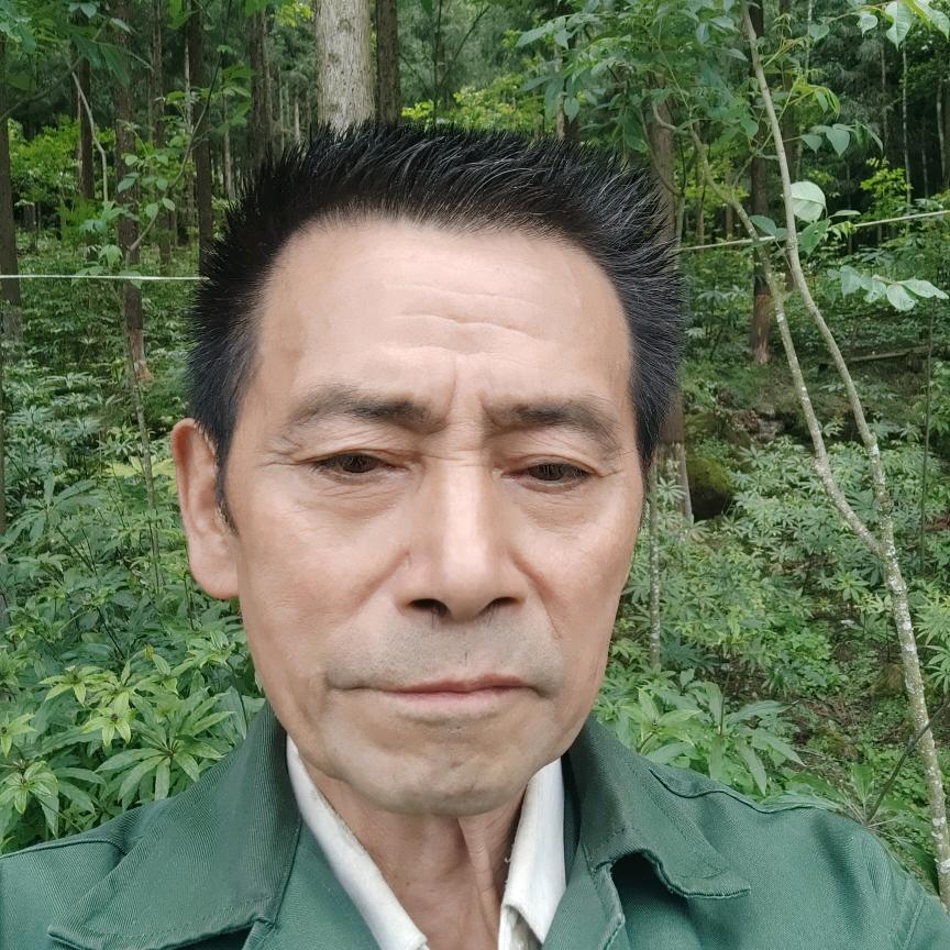 开心大叔