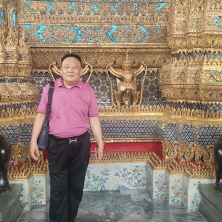 滕州市云龙茶叶