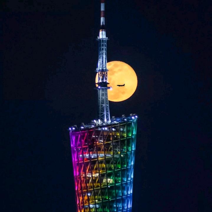 护你一生
