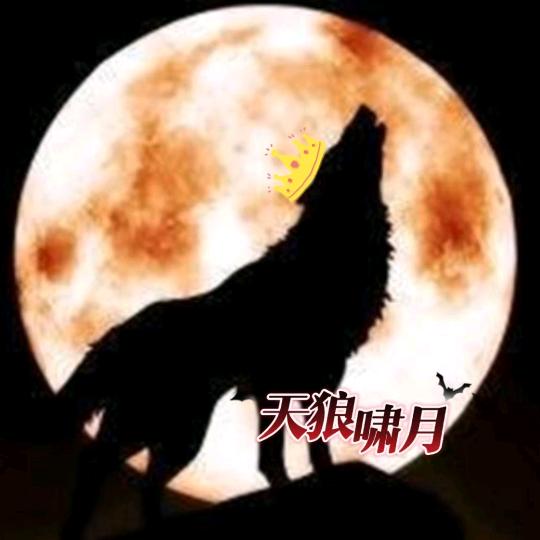天狼啸月