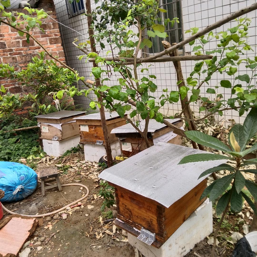 广西饮州市灵山县平山镇