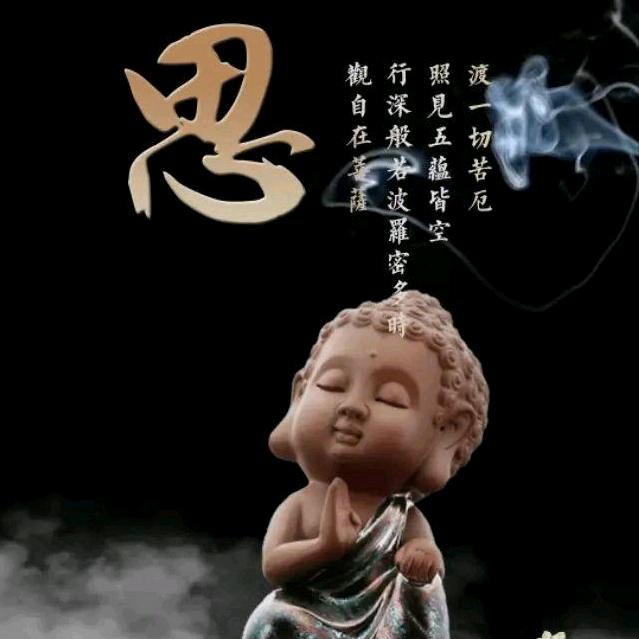 宝丰紫晴（收学员）
