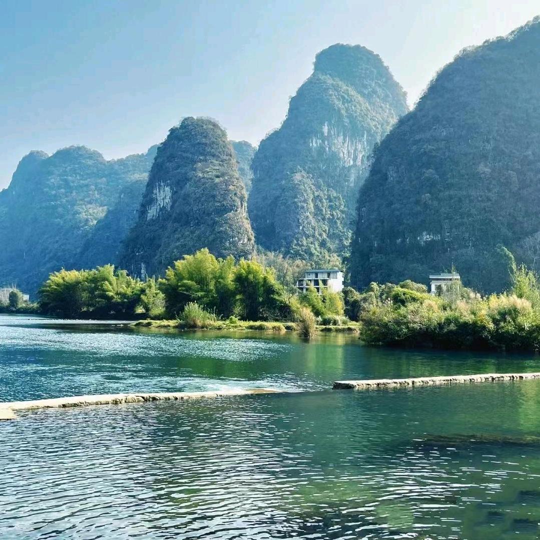 大杨哥