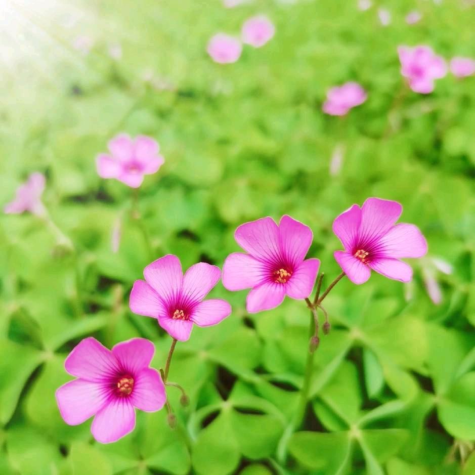 ～淡然～