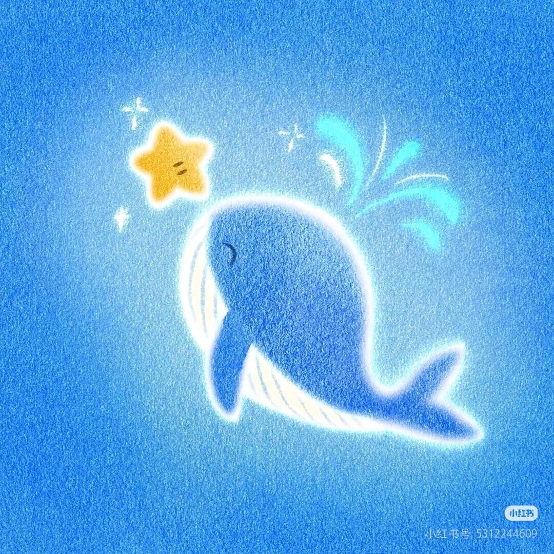 招财猫猫🐱