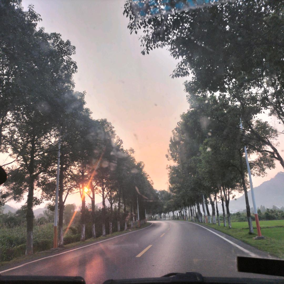 681621自渡方重生