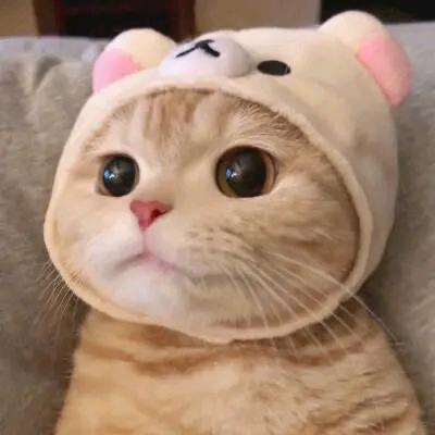 北沫