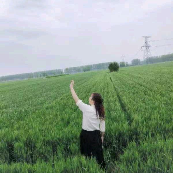 花儿。