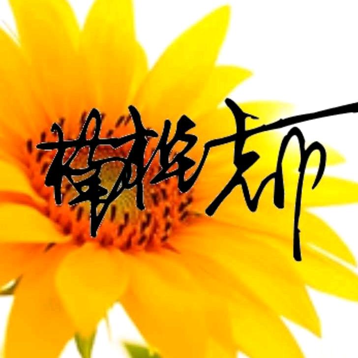 楠桦都（橱窗有好物件）