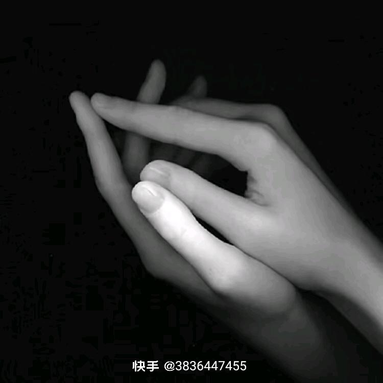 吉祥兔🐇