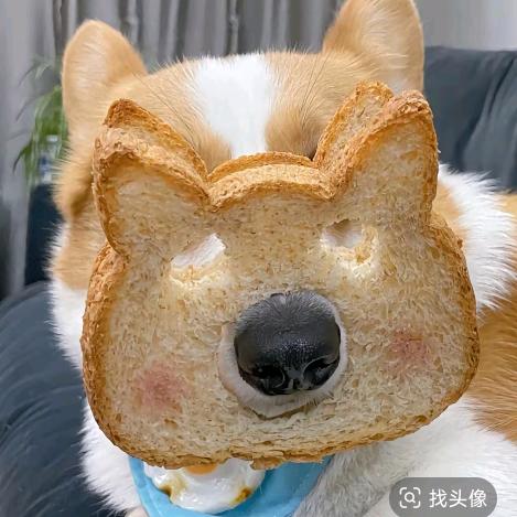 露露汽配摩托