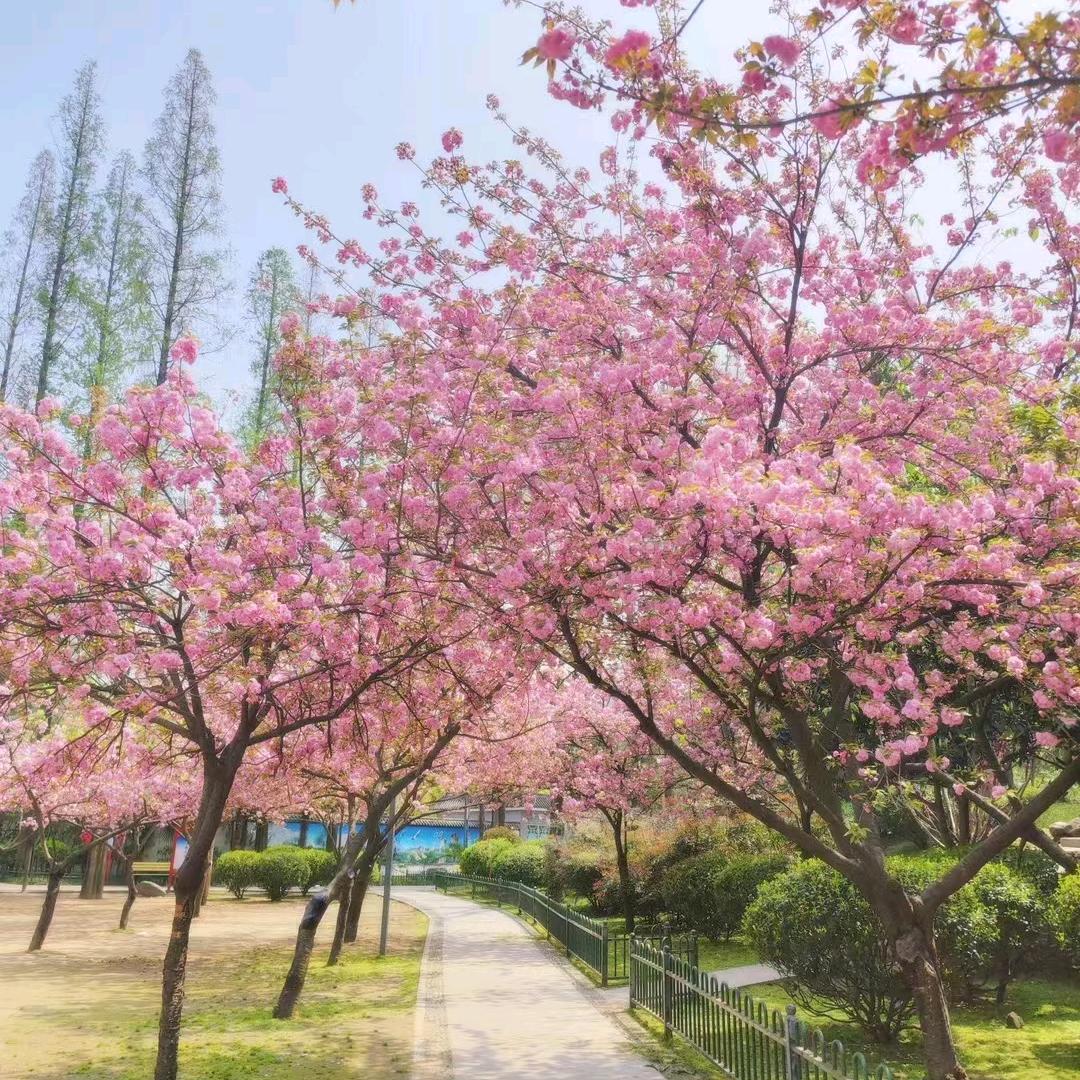 泼河镇修脚店