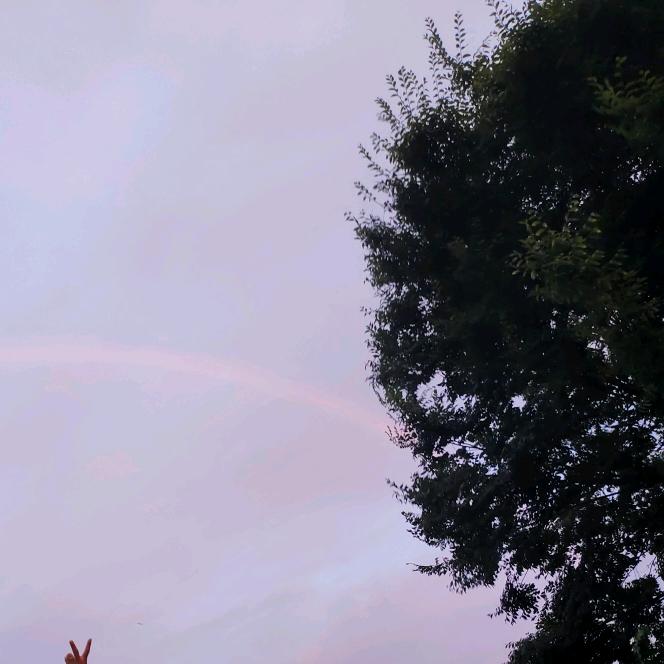 雨菏