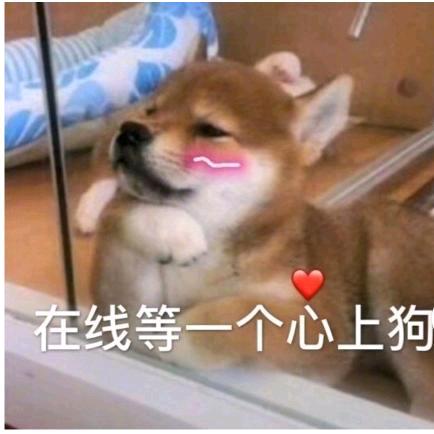 @但凡……
