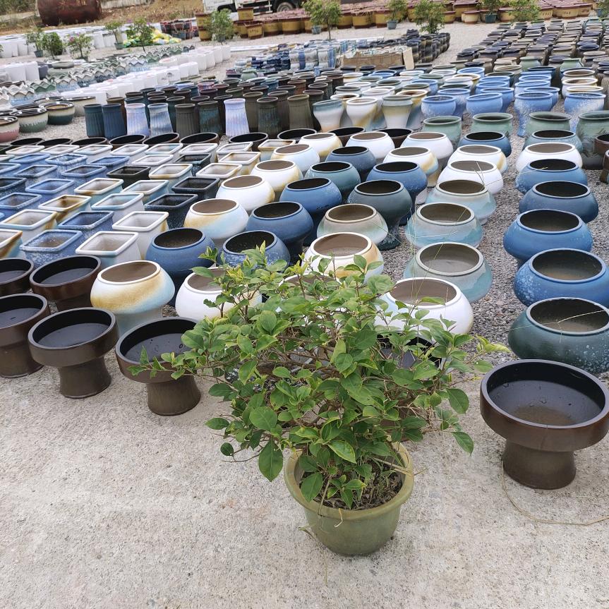 怀化诚信花盆基地
