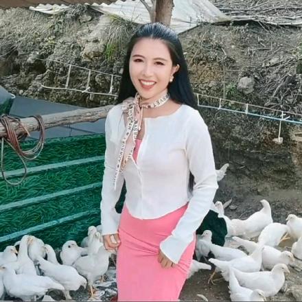 农村生态养鸡~赵姐