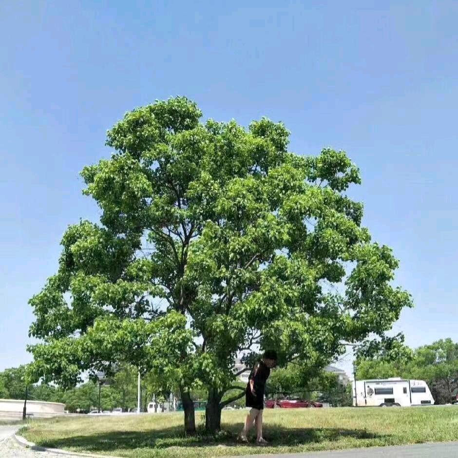 《珍惜》