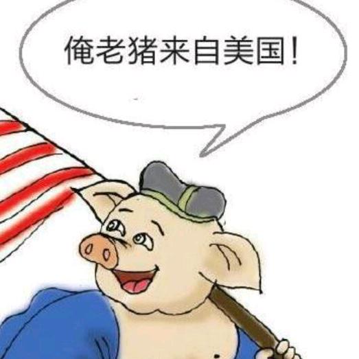 新美系华特希尔基因种猪