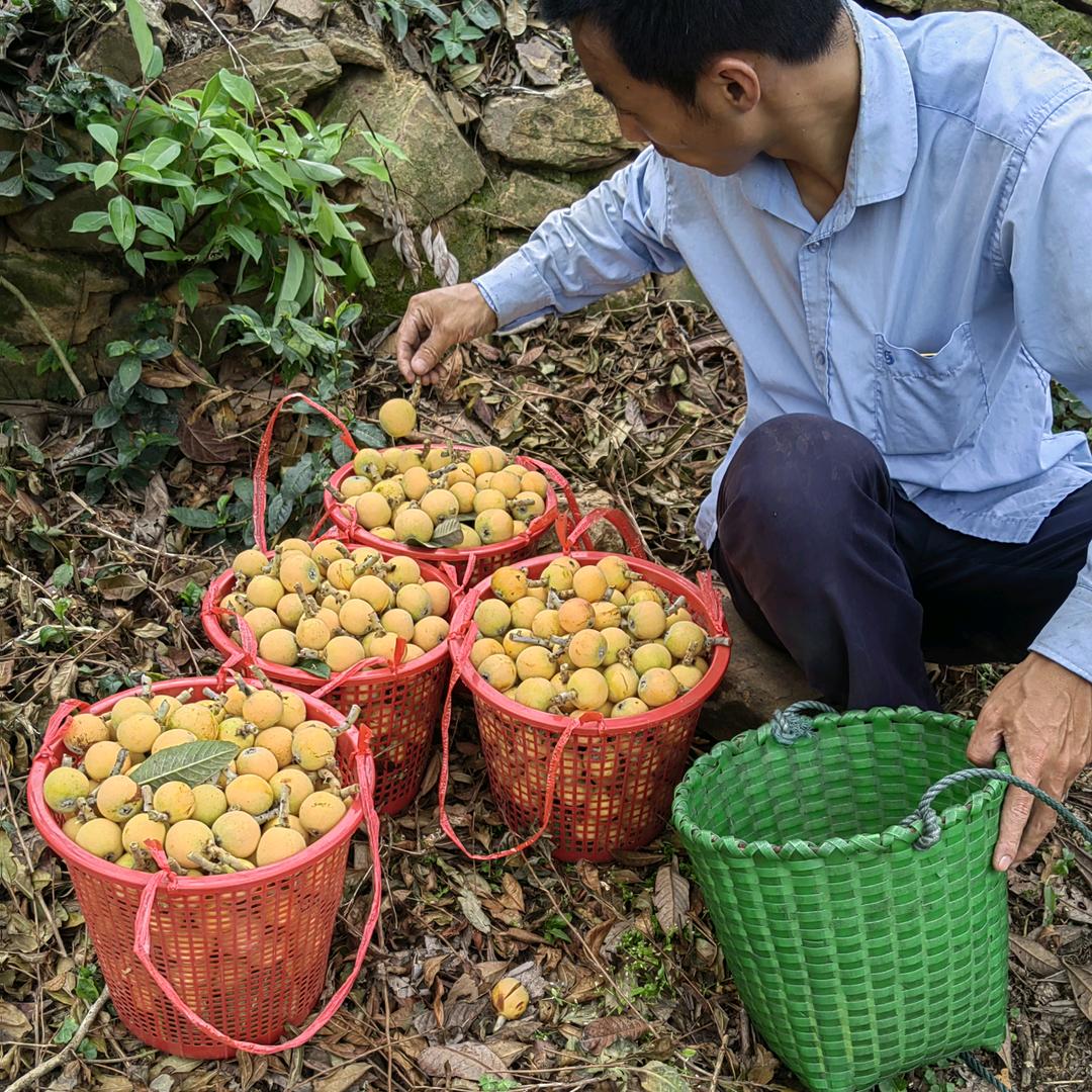 陆师傅（金庭源滋味农副产品经营部）