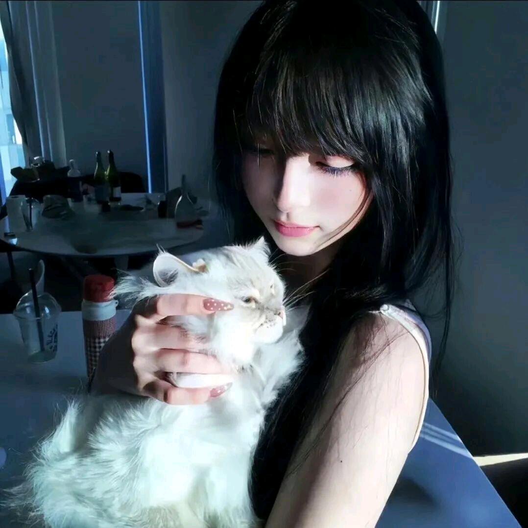 发呆椰椰魚.🐾