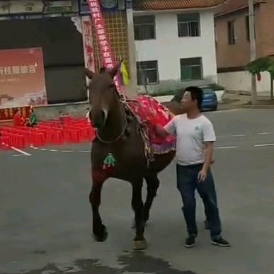 八方来财