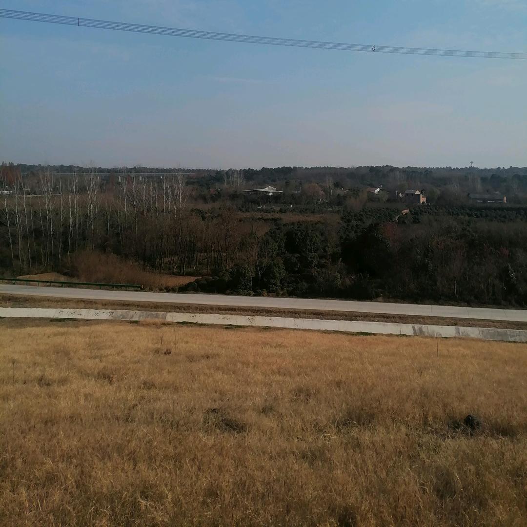 聚星之梧桐细雨