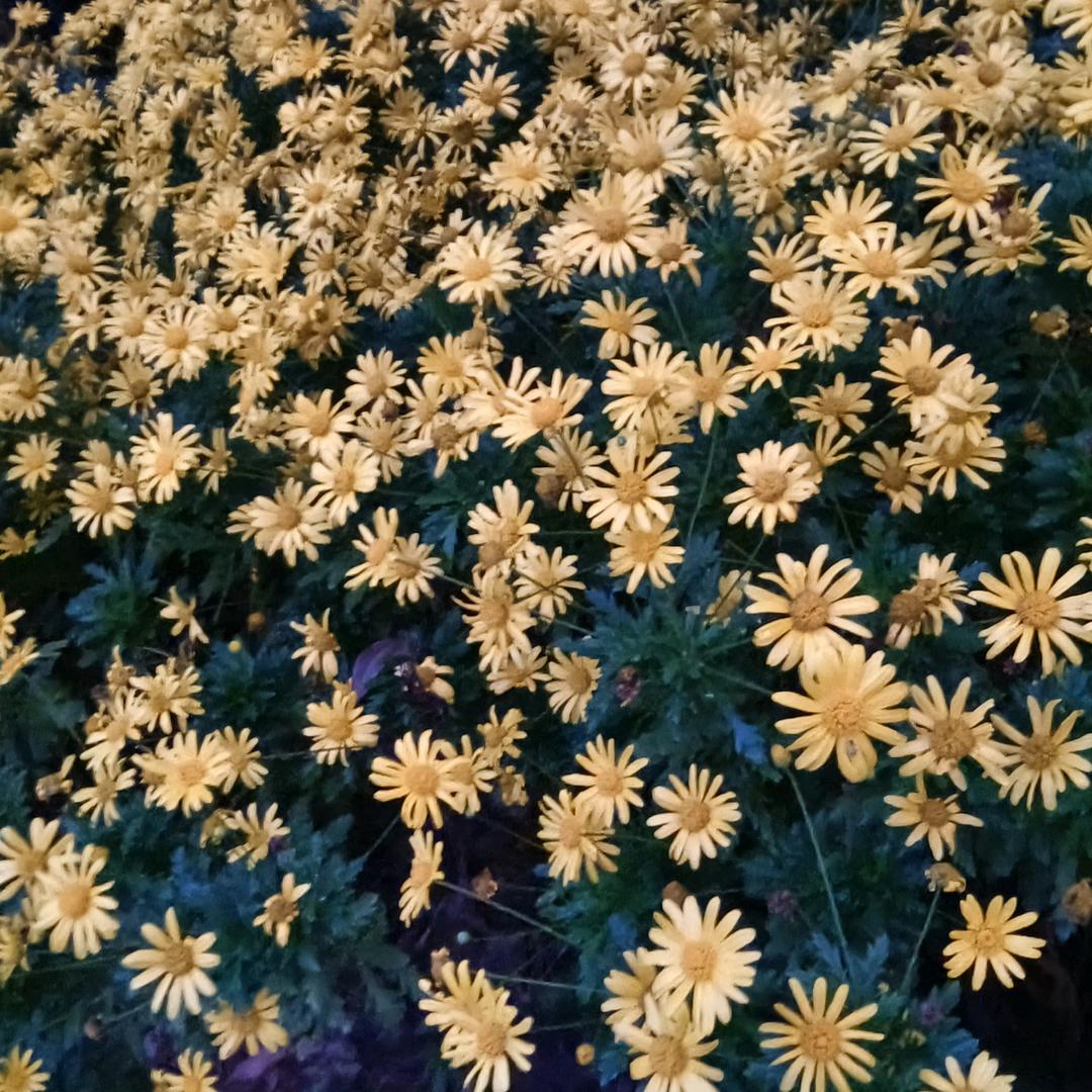 燕燕一顿两碗饭