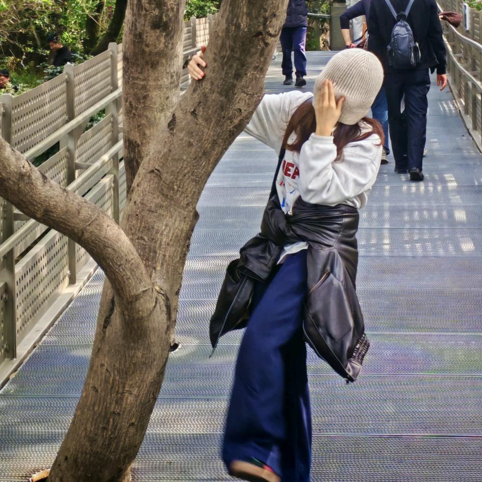 整个赤道仪也行