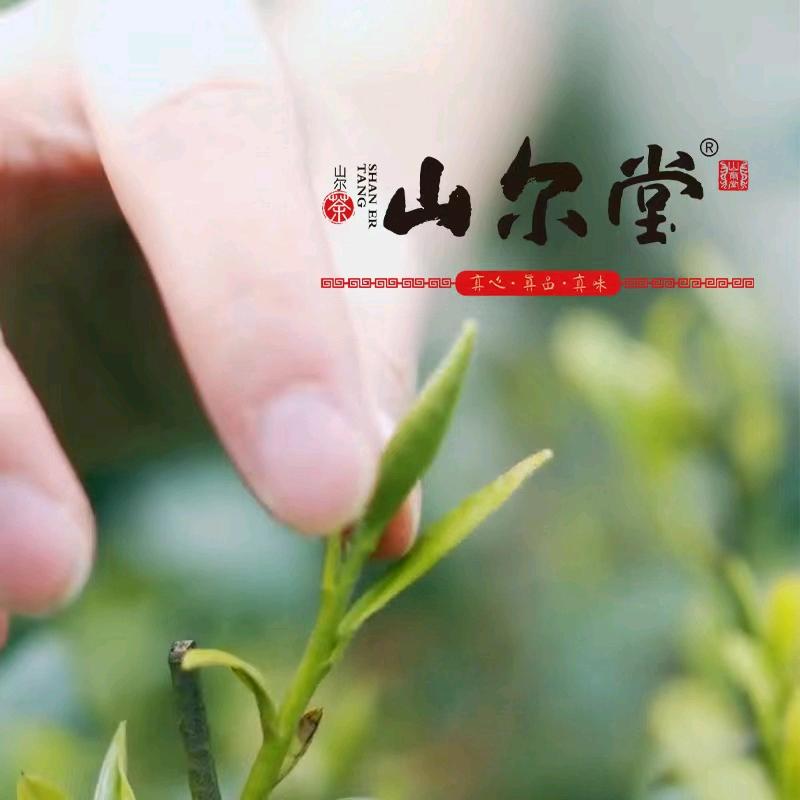 山尔堂茶叶个体店