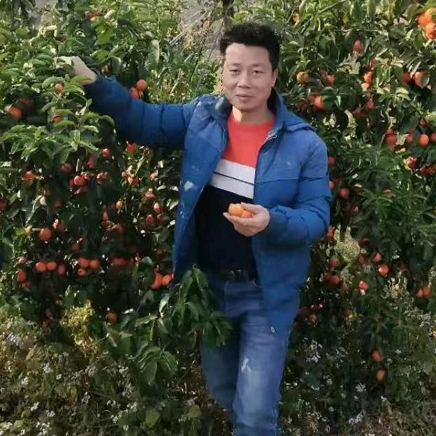 张格