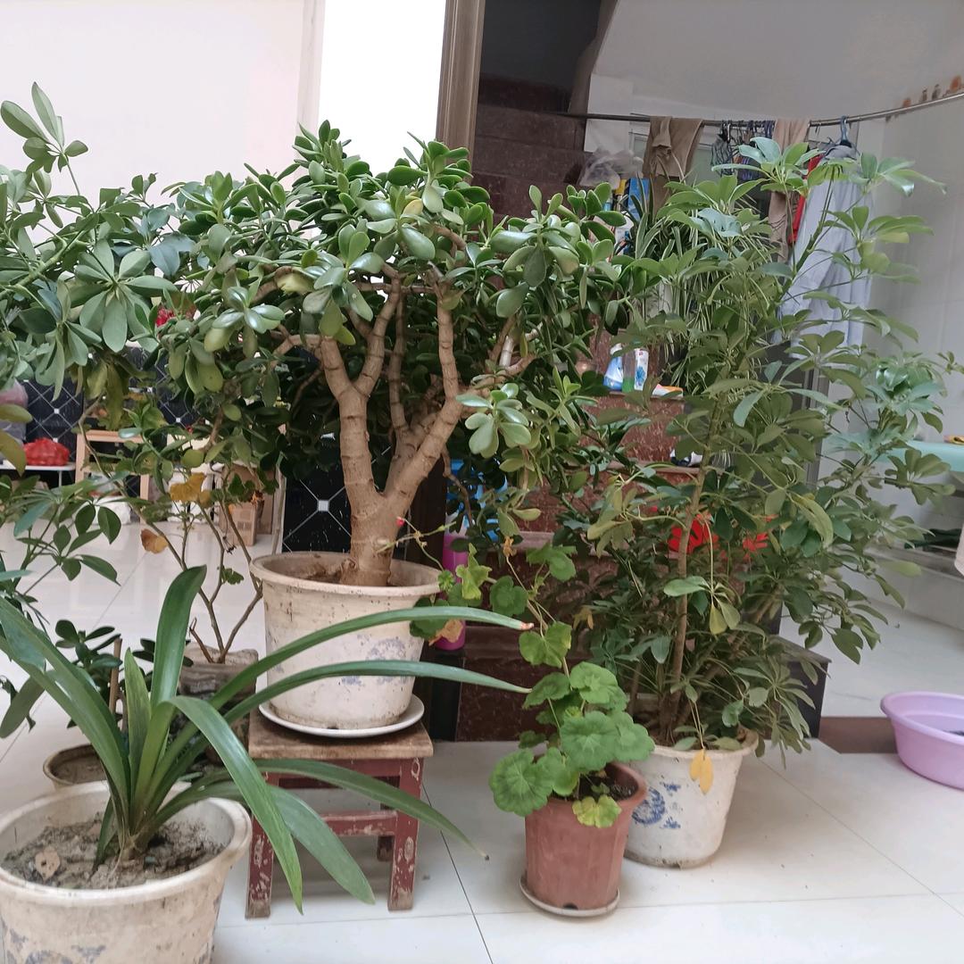 轻描淡写，人生无悔！